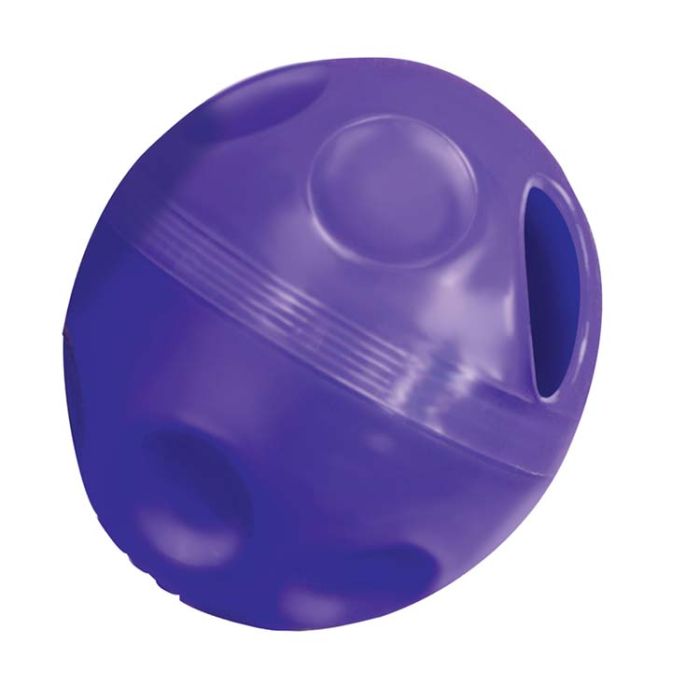 Kong Treat Ball