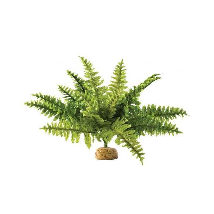 Exo Terra Boston Fern Small