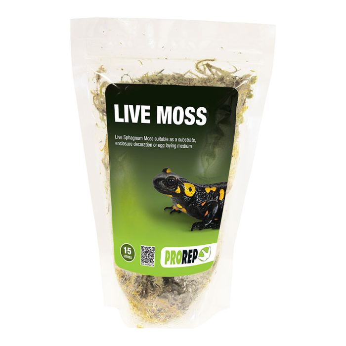 Prorep Live Moss Large