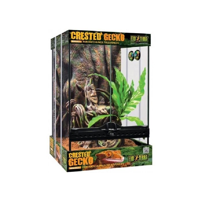 Exo Terra Crested Gecko Starter Kit Small