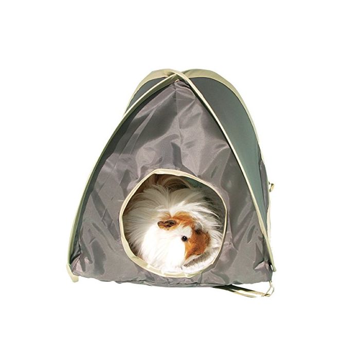 Boredom Breaker Medium Assorted Pop-up Tent