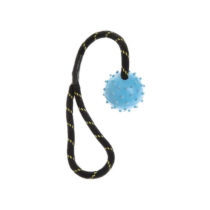 Rufus & Rosie Blue Studded Rope 2"