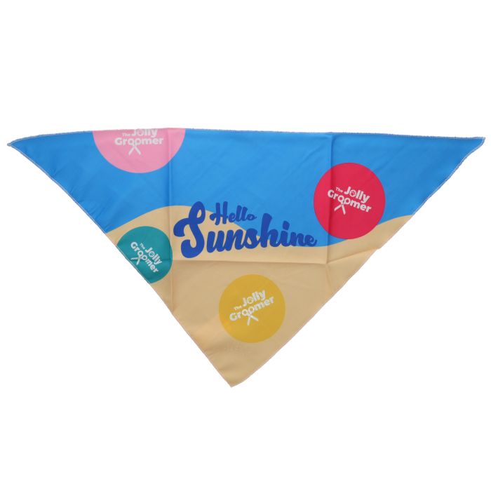 Rufus & Rosie Funshine Dog Bandana