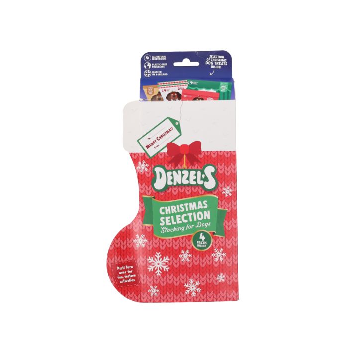 Denzel's Christmas Stocking for Dogs