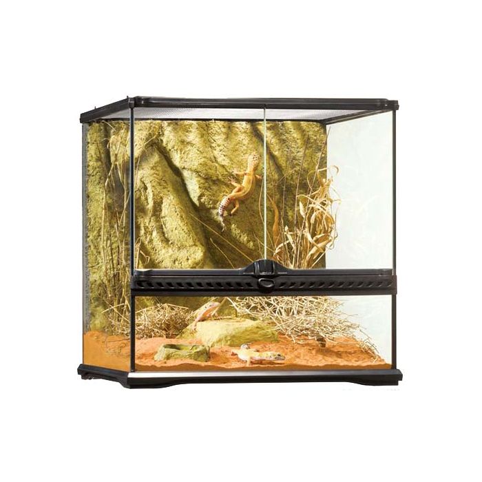 Exo Terra Small Wide Terrarium