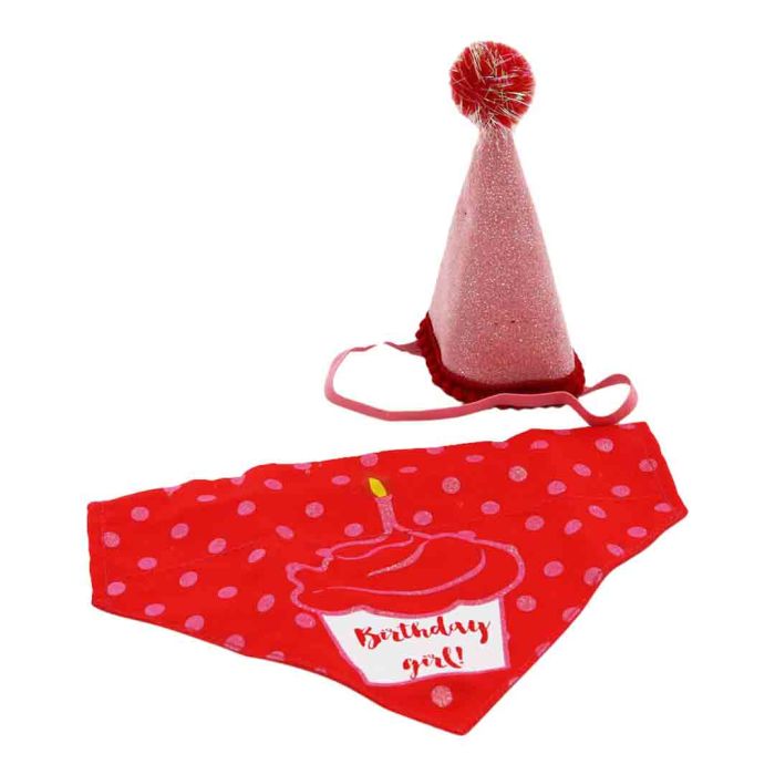 Ancol 'Its My Birthday' Pink Hat and Bandana Dog Accessory