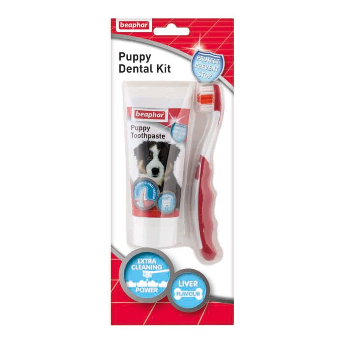 Beaphar Toothbrush & Toothpaste Dental Care Kit for Puppies