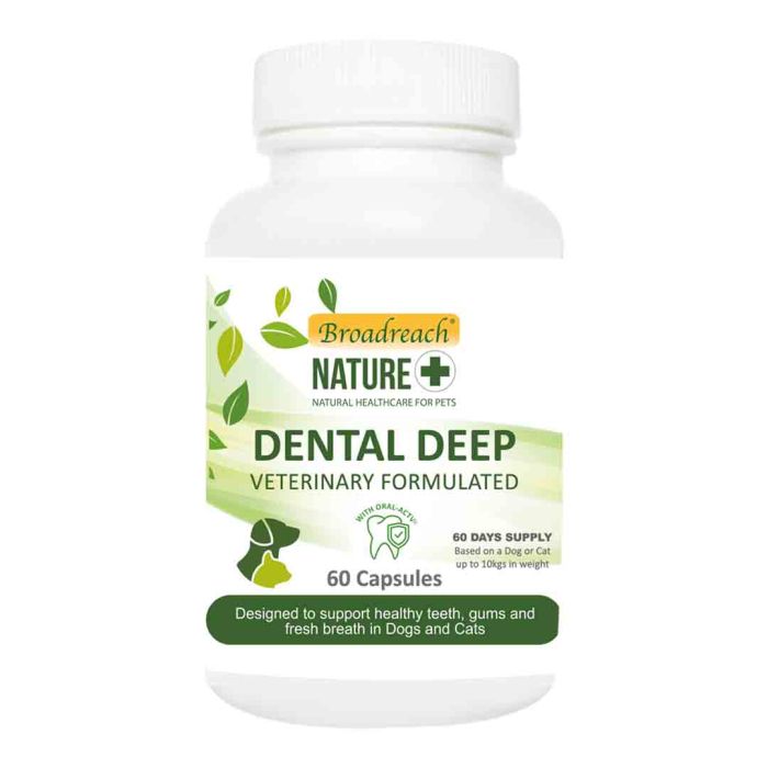 Broadreach Nature Advanced Dental Care