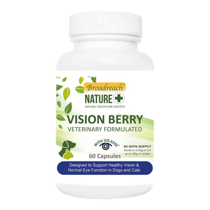 Broadreach Nature Vision Berry Eye Supplement, 60 Capsules
