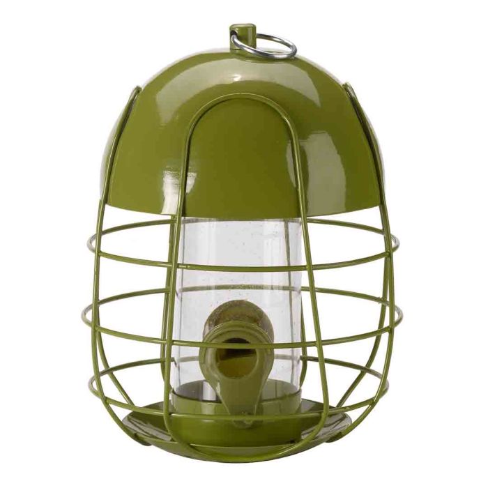 Chapelwood Acorn Squirrelprof Seed Feeder