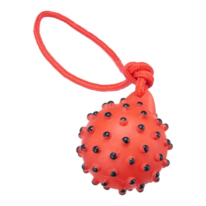 Spikey Rope Chew Toy