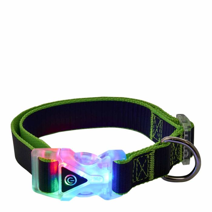 Go Walk LED Reflective Rainbow Large Dog Collar