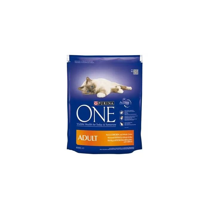 Purina ONE Adult Rich in Chicken and Whole Grains 6kg