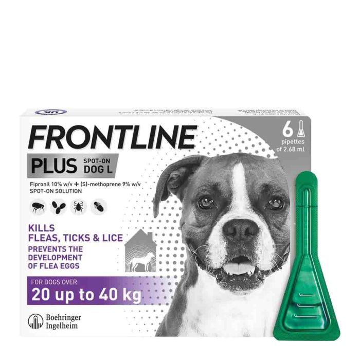 Frontline Plus for Large Dogs 20-40kg 6 pack