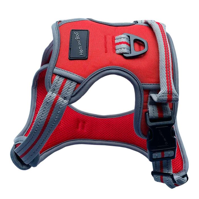 Hem & Boo Red Sports Dog Harness