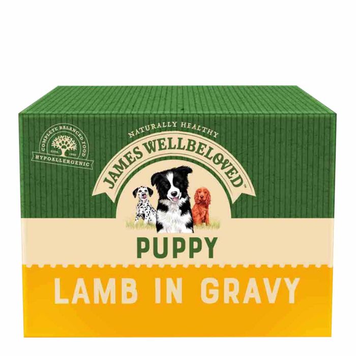 James Wellbeloved Puppy Lamb in Gravy