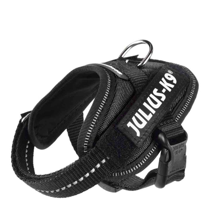 Julius K9 IDC Power