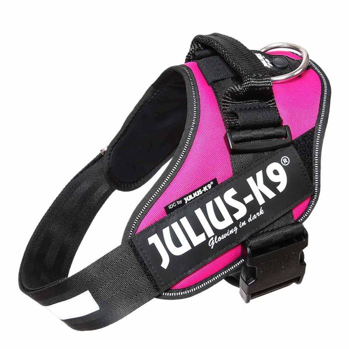 Julius-K9 Extra Small IDC Pharness Baby Dog Harness
