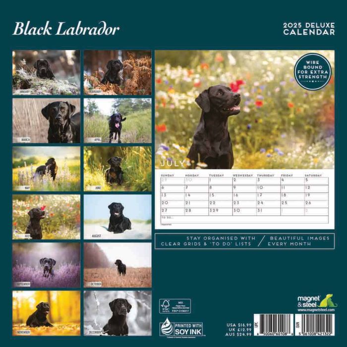 Magnet & Steel Labrador Black Deluxe 2025 Calendar
