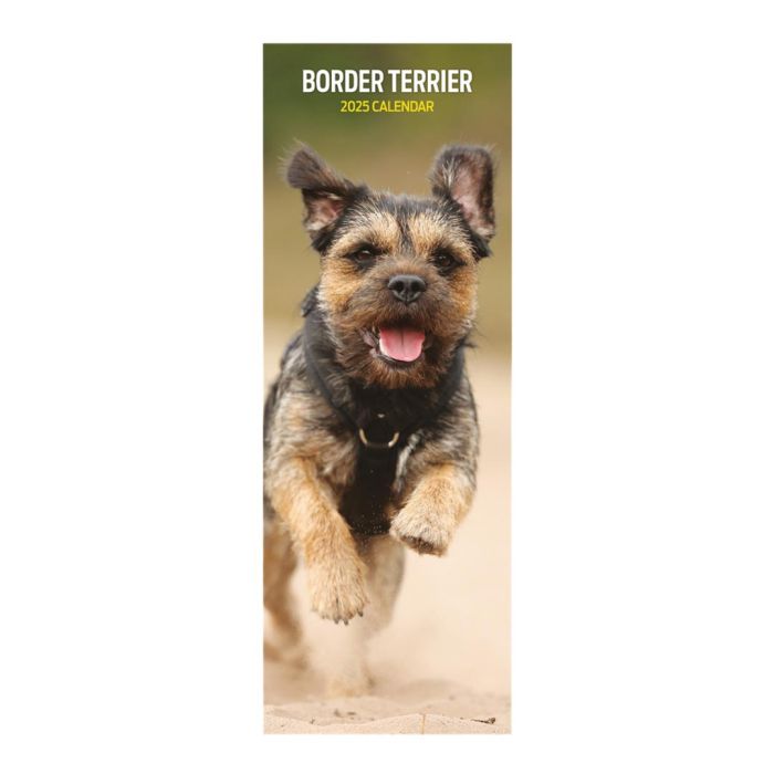 Magnet & Steel Border Terrier Slim 2025 Animal Calendar