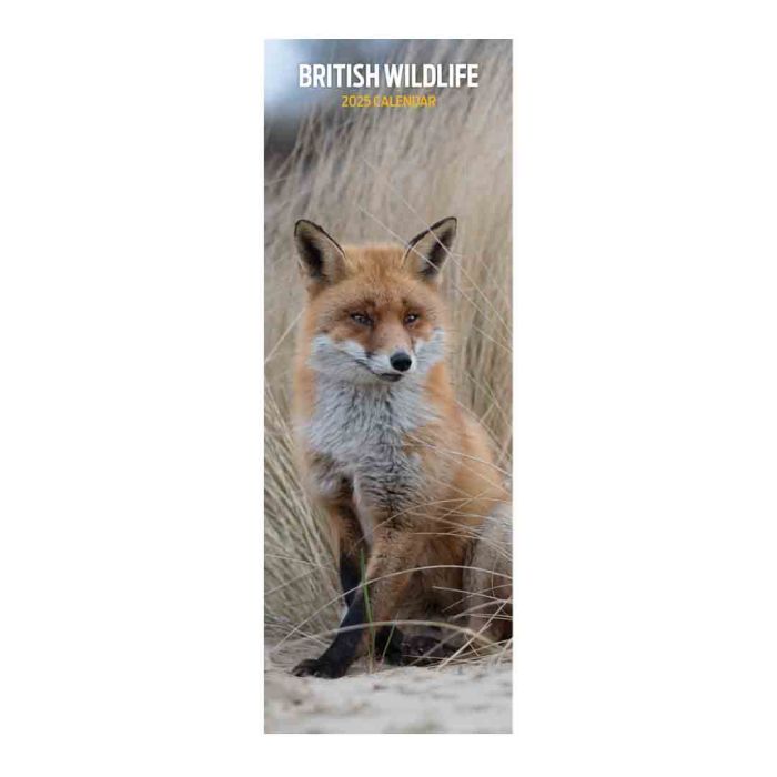 Magnet & Steel British Wildlife Slim Animal Calendar 2025
