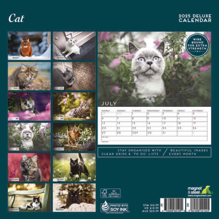 Magnet & Steel Cat Deluxe 2025 Calendar