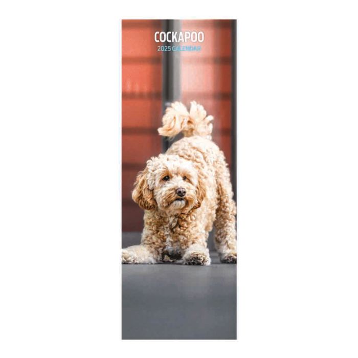 Magnet & Steel Cockapoo Slim Calendar