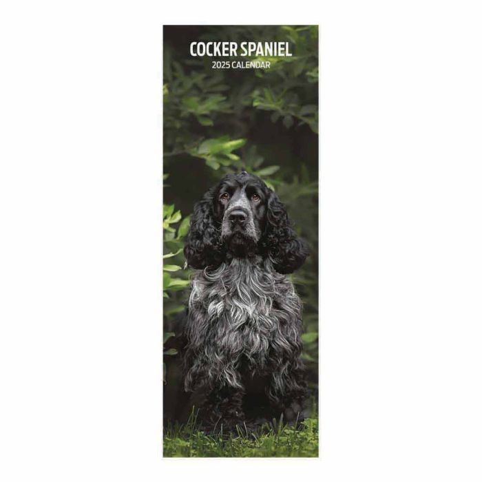 Magnet & Steel Cocker Spaniel Slim Calendar