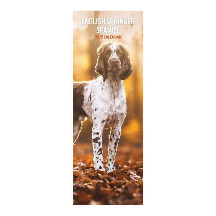 Magnet & Steel English Springer Spaniel Slim 2025 Calendar