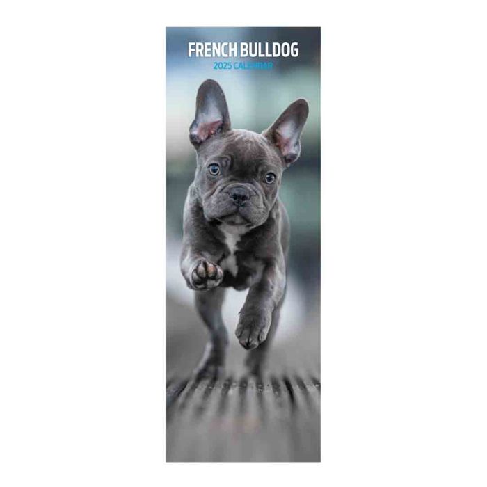 Magnet & Steel French Bulldog Slim 2025 Calendar