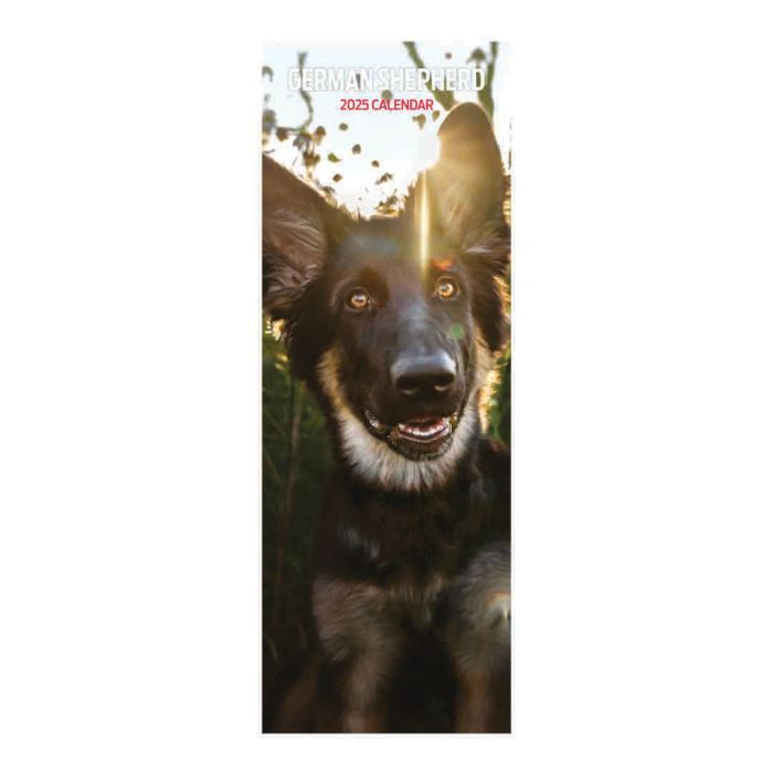 Magnet & Steel German Shepherd Slim 2025 Animal Calendar