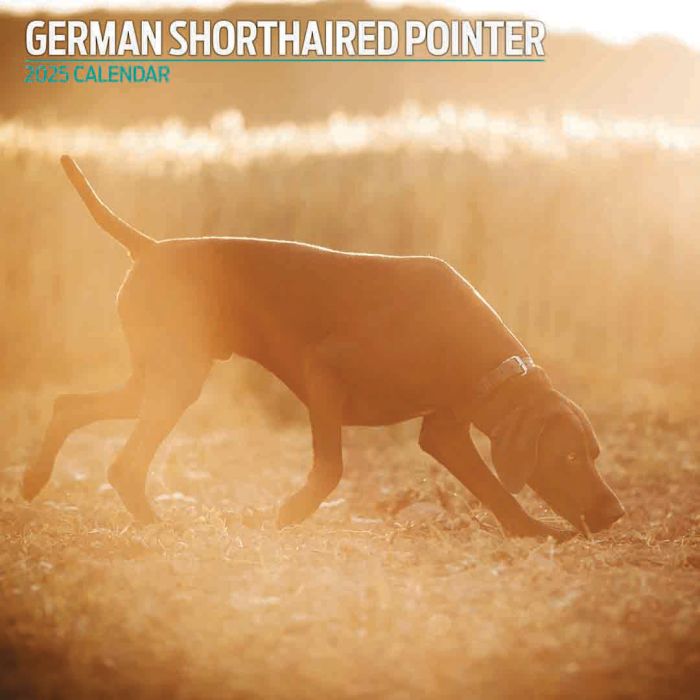 Magnet & Steel 2025 German Shorthair Pointer Traditional Calendar
