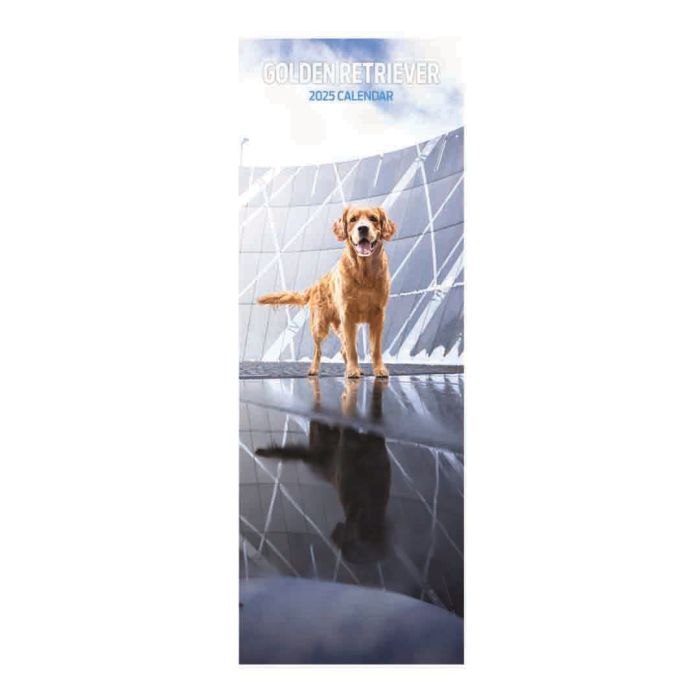 Magnet & Steel Golden Retriever Slim 2025 Calendar