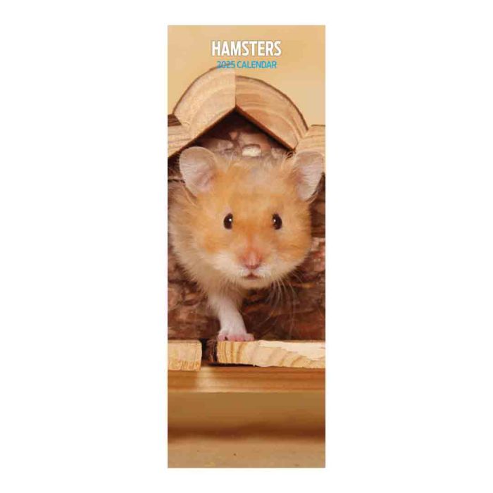 Magnet & Steel Hamster Slim 2025 Calendar