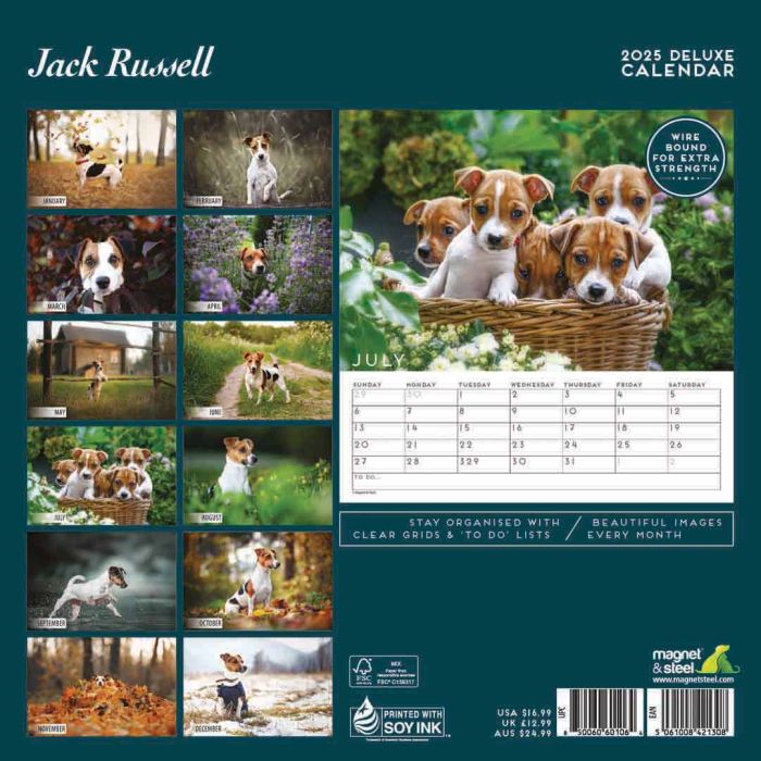 Magnet & Steel Jack Russell Terrier Deluxe Calendar for 2025