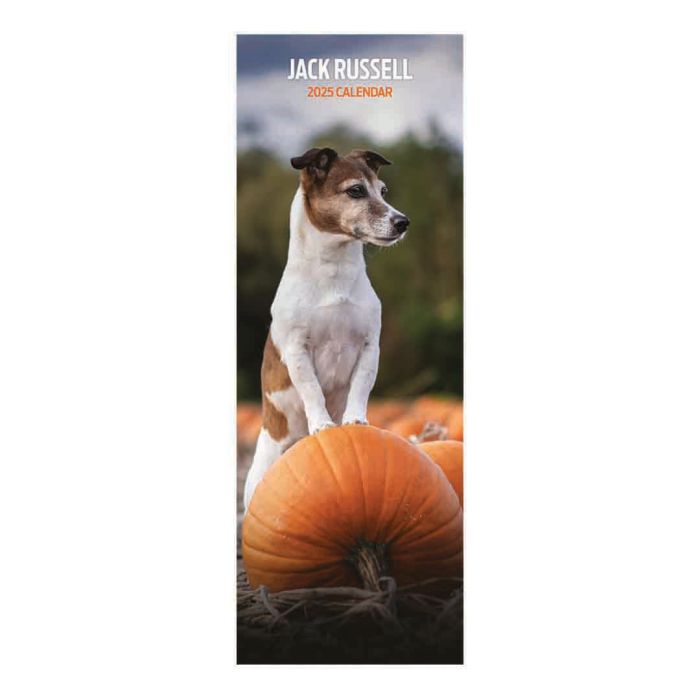 Magnet & Steel Jack Russell Slim 2025 Calendar