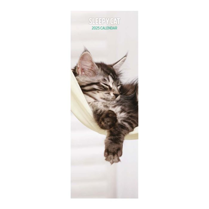 Magnet & Steel Sleepy Cat Slim 2025 Animal Calendar