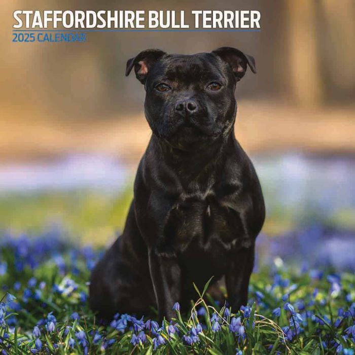 Magnet & Steel Staff Bull Terrier 2025 Dog Calendar