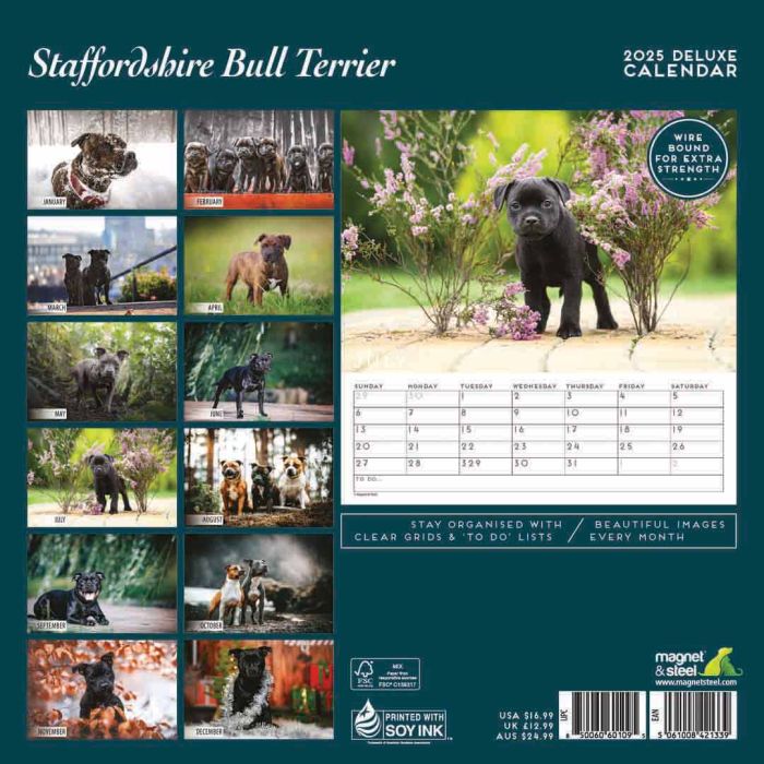 Magnet & Steel Staffordshire Bull Terrier Deluxe 2025 Calendar