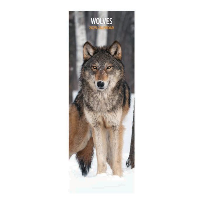 Magnet & Steel Wolves Slim 2025 Calendar