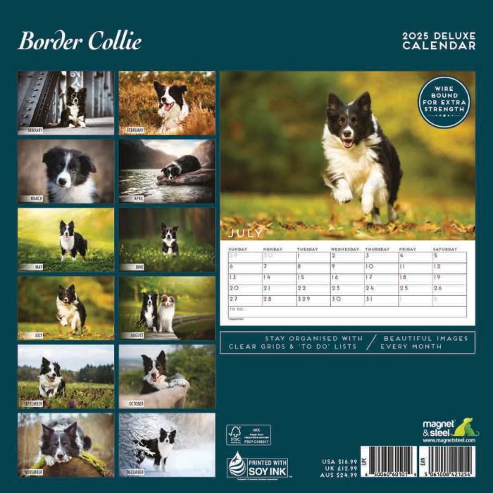 Magnet & Steel Border Collie Deluxe Calendar