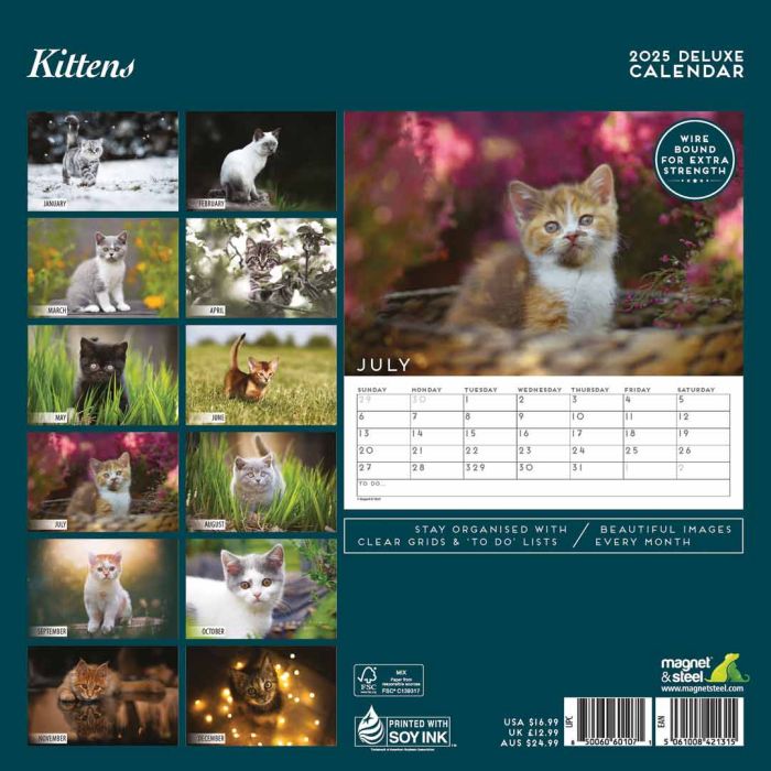 Magnet & Steel Kitten Deluxe 2025 Pet Calendar