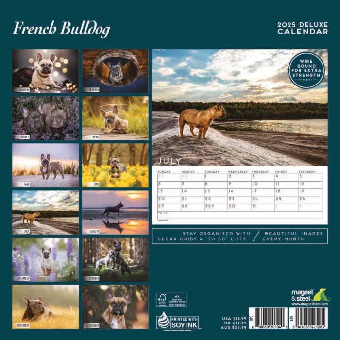 Magnet & Steel French Bulldog Deluxe 2025 Calendar