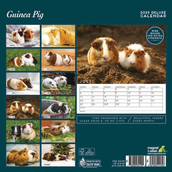 Magnet & Steel Guinea Pig Deluxe Wall Calendar