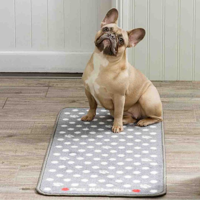 Pet Rebellion Stop Muddy Paws Dotty