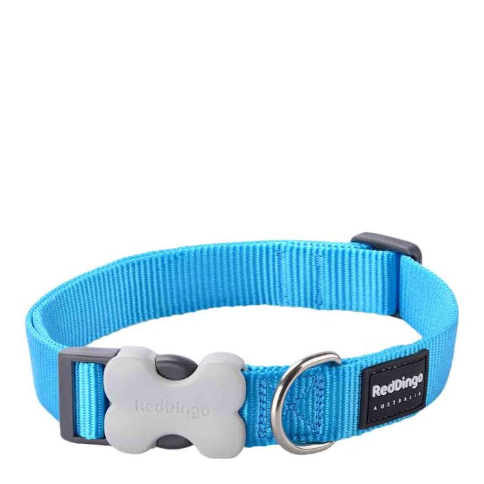 Red Dingo Plain Turquoise Dog Collar Large