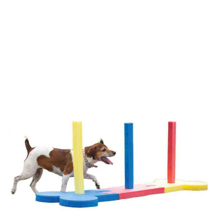 Rosewood Small Dog Agility Slalom