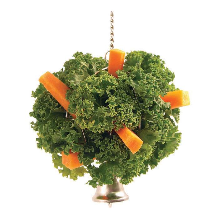 Boredom Breaker Hanging Food Ball