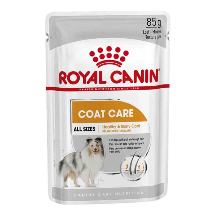 Royal Canin Wet Dog Food Coat Care Wet Pouches 12x85g