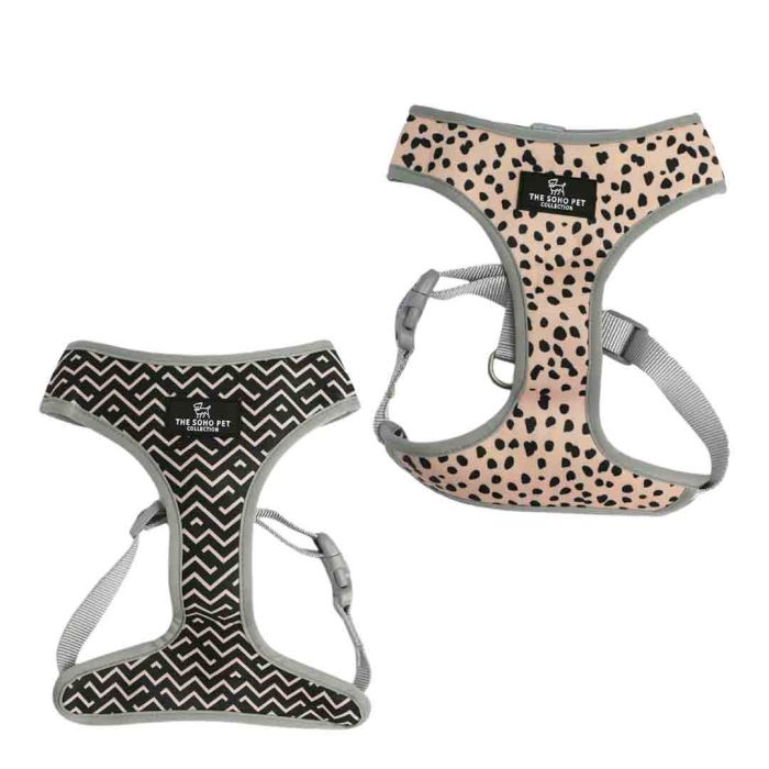 Ancol Soho Zigzag & Leopard Dog Harness